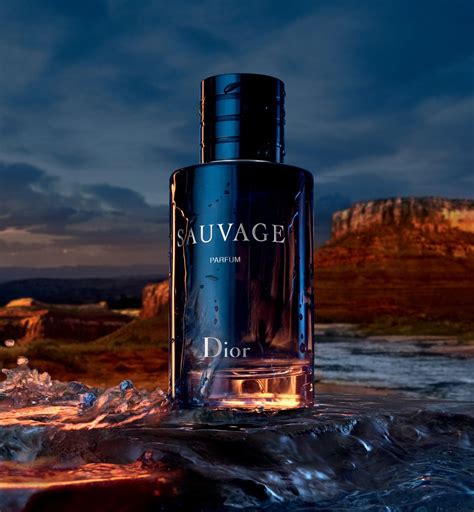 dior scents for men|which Dior sauvage is best.